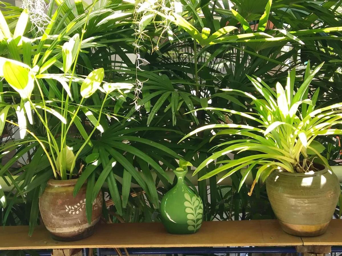 Green Home Khao Lak Extérieur photo